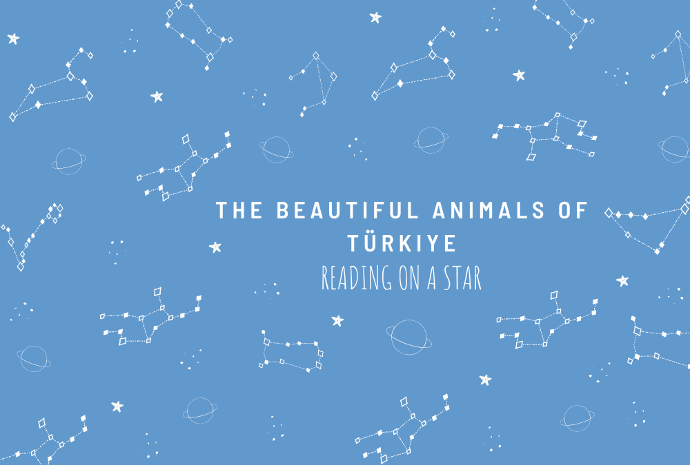The beautiful animals of Türkiye